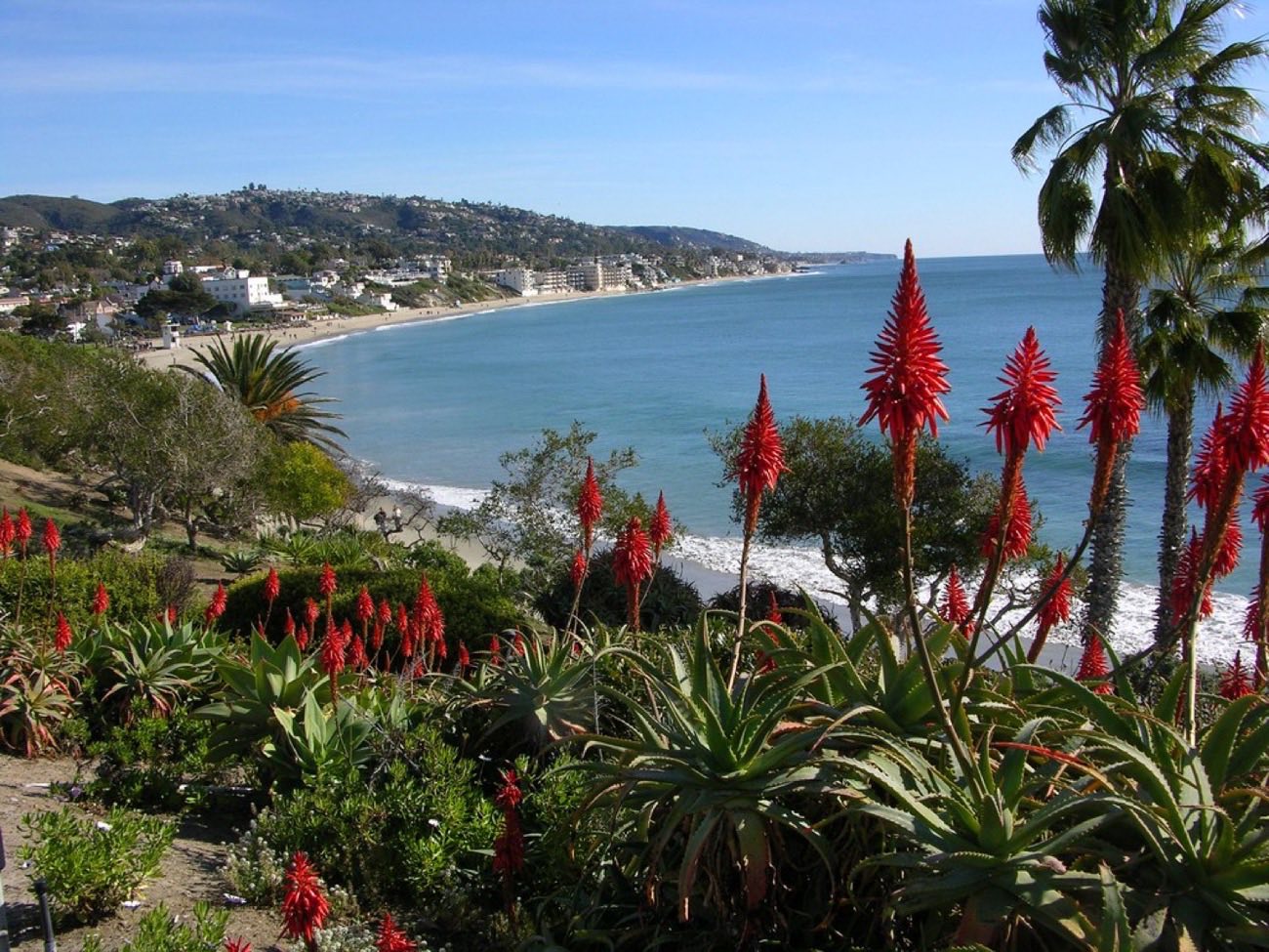 The Orange County coastline at Laguna Beach